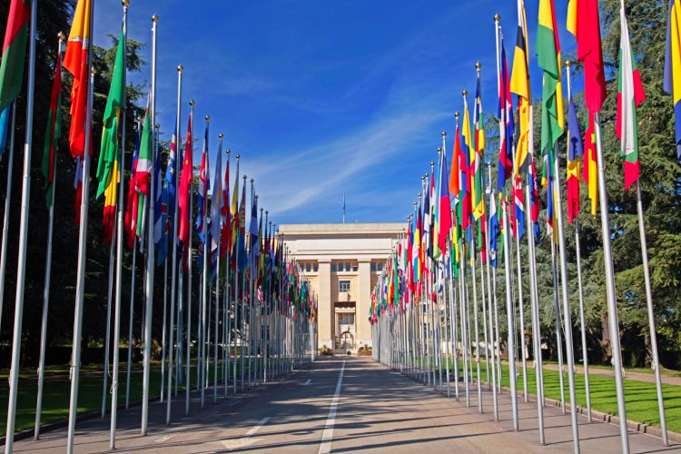 El secretario general de la ONU, Ban Ki-moon, defendió hoy que el documento une a todo el mundo alrededor de unos "compromisos colectivos" que incluyen la defensa de los derechos humanos de todos los refugiados y migrantes sin importar su estatus.
(Dreamstime)
