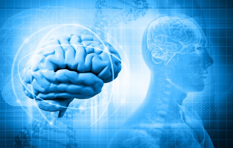 Los neurólogos también observaron diferencias en la localización del hematoma cerebral. En hombres es más frecuente el hematoma profundo mientras que en mujeres es más común en la zona lobular del cerebro, más superficial.
(Dreamstime)