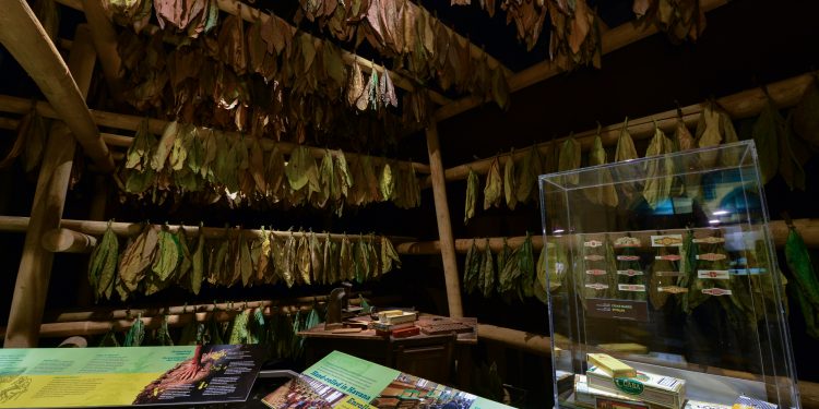 4a.-Giant-sloth_DF-750x375 ¡CUBA! ABRE SUS PUERTAS EN EL  AMERICAN MUSEUM OF NATURAL HISTORY