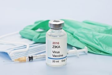 Los tres laboratorios aportarán el conocimiento y la experiencia que ya tienen en el estudio de la enfermedad para "aumentar la probabilidad de éxito en el desarrollo y registro de una vacuna segura y eficaz contra el zika", según la Fiocruz.
(Dreamtime)