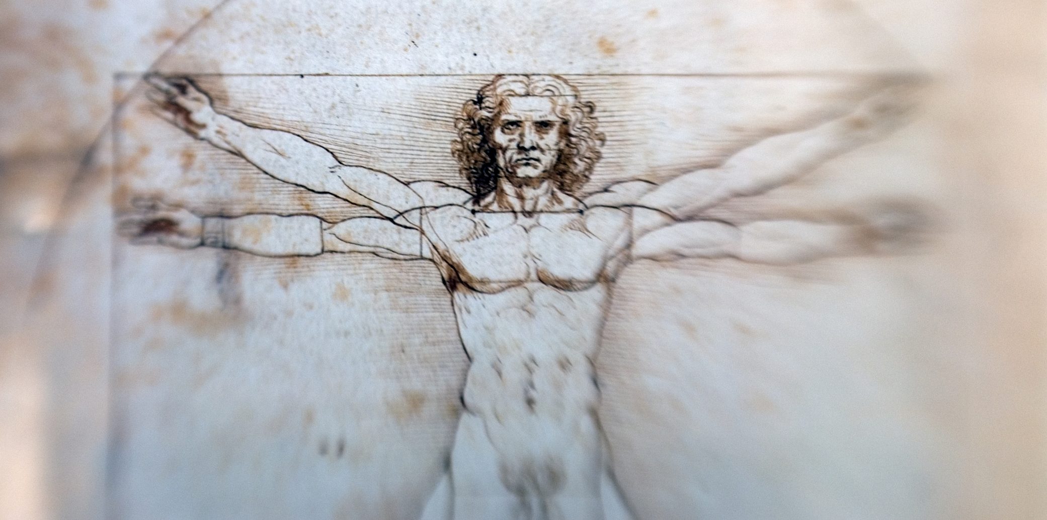 Francia retiene un dibujo de Leonardo da Vinci tasado en 15 millones