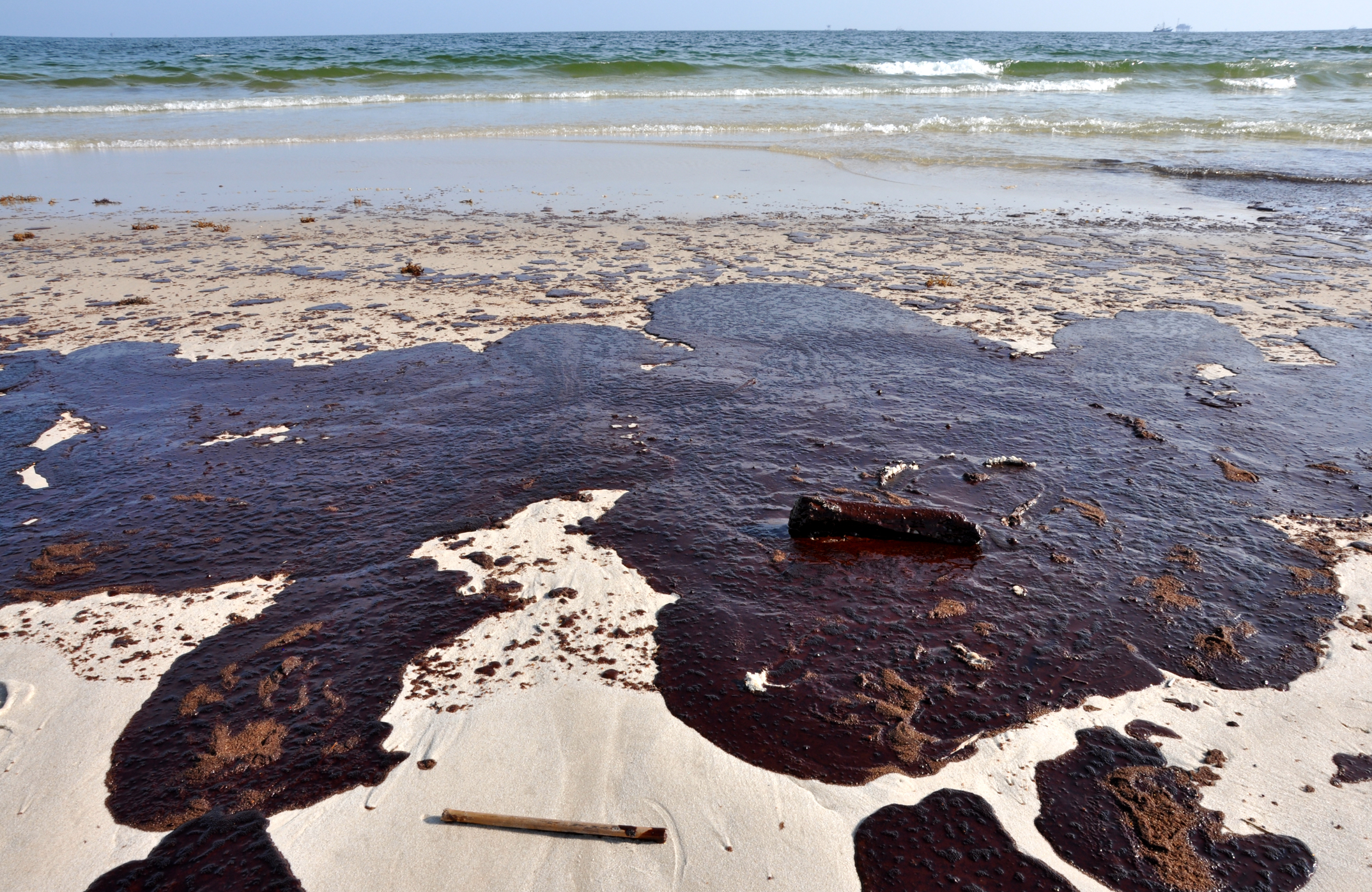 Сосна утонет в нефти. США мексиканский залив разлив нефти. Экологическая катастрофа в мексиканском заливе. Разлив нефти в мексиканском заливе. Экологическая катастрофа в море разлив нефти.
