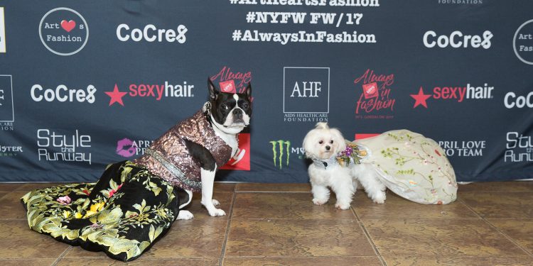 Anthony-Rubio-NYFWSS-2017-509-of-561-1-e1487093212224-750x375 Anthony Rubio, moda canina en la Semana de la Moda de Nueva York