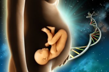 Bajo condiciones de extrema seguridad, la directora del laboratorio FIV del IVI, Ana Palma Govea, examina el registro fotográfico de hasta seis embriones de una sola paciente que fueron obtenidos por método reproductivo para determinar su desarrollo.
(Dreamstime)