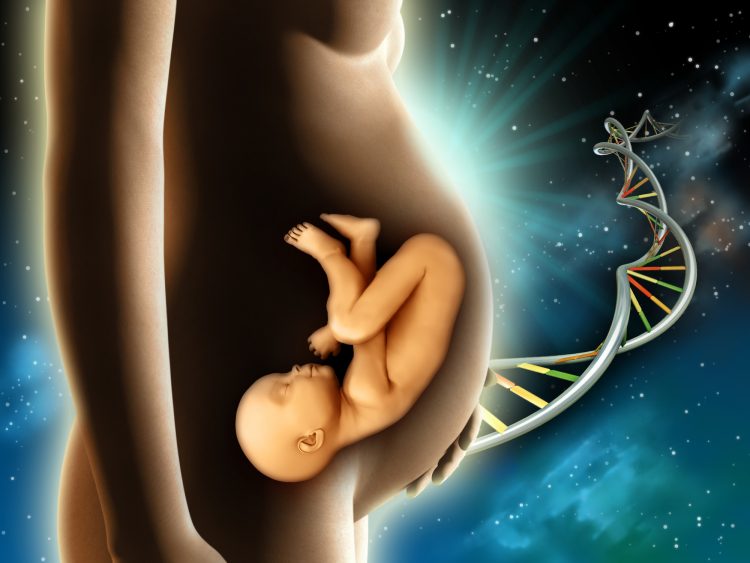 Bajo condiciones de extrema seguridad, la directora del laboratorio FIV del IVI, Ana Palma Govea, examina el registro fotográfico de hasta seis embriones de una sola paciente que fueron obtenidos por método reproductivo para determinar su desarrollo.
(Dreamstime)