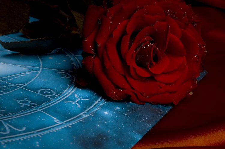 Lea todas la semanas el Horóscopo del Tarot, con el mejor y más positivo consejos para su signo zodiacal.
(Dreamstime)