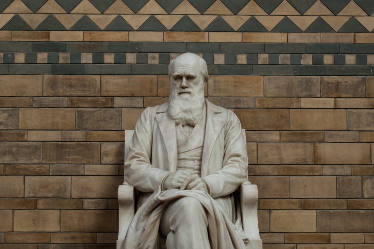 En 1834, Darwin encontró los primeros restos fósiles de este animal (macrauquenia) en Uruguay y Argentina, y se los pasó al renombrado paleontólogo británico Richard Owen, quien quedó desconcertado por su inusual combinación de rasgos que impedía establecer su relaciones evolutivas.
(Dreamstime)