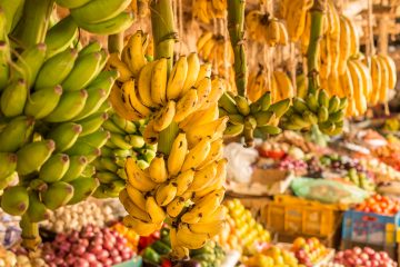En el anterior congreso, celebrado en Miami en abril de 2016, se decidió que por un periodo de seis años no se realizarán reuniones del sector en países productores de bananos o plátanos con el fin de impedir la propagación del hongo Fusarium raza 4.
(Dreamstime)