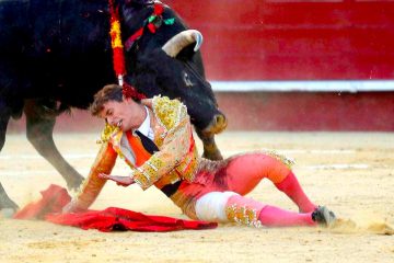 El diestro, Borja Collado, sufre una cogida durante el primer festejo de la Feria de Julio de València en el que ha debutado con picadores junto a "El Rafi" y Miguel Polope. EFE/Kai Försterling