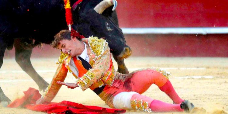 El diestro, Borja Collado, sufre una cogida durante el primer festejo de la Feria de Julio de València en el que ha debutado con picadores junto a "El Rafi" y Miguel Polope. EFE/Kai Försterling