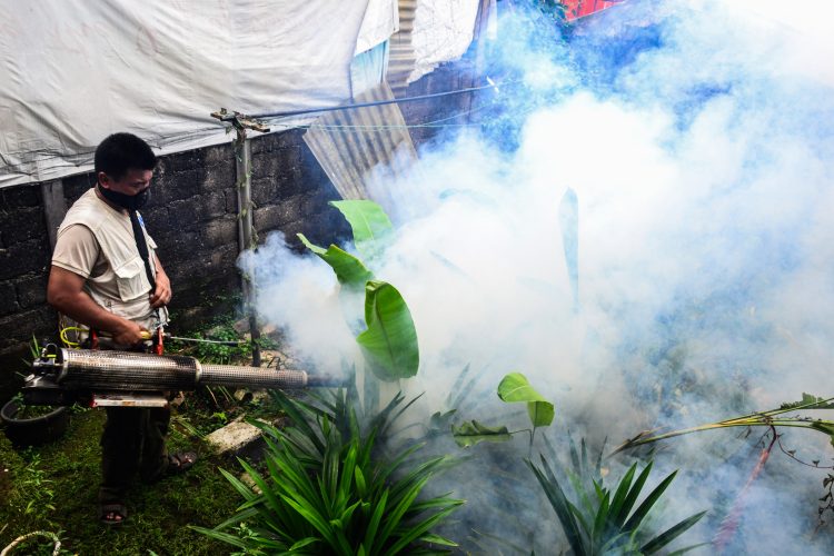Las cuatro personas que son las últimas contagiadas por el virus que transmiten los mosquitos Aedes aegypti "recibieron tratamiento médico y se espera que se recuperen totalmente", señalaron las autoridades de salud.
(Dreamstime)