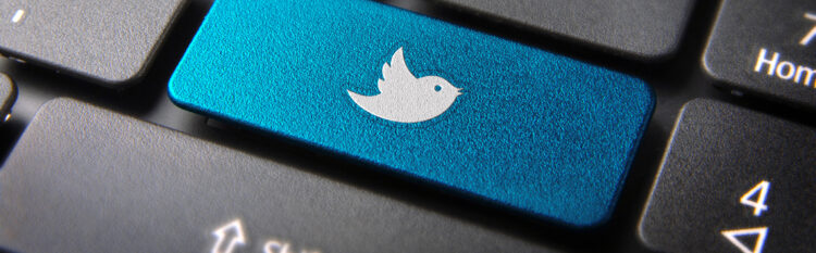 En paralelo, ha puesto en marcha el llamado Twitter Blue, una versión de pago (8 dólares al mes) que permite al usuario editar sus tuits o que aparezcan más arriba en el "feed" que ven los demás.  (Dreamstime)