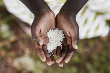 Para hacer frente a la crisis, "el Gobierno ha permitido a actores privados importar cereales para ayudar a alimentar a la gente", destacó.
 (Dreamstime)