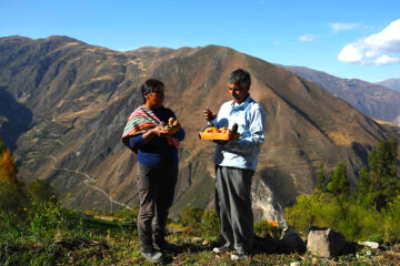 Fotografía del 25 de junio de 2024 de Verónica Bosa (i) y su padre mostrando productos de su cosecha, en los Andes de Huancavelica (Perú). Vilma sonríe al ver flores naranjas que surgen entre la alfalfa, porque es señal de buena cosecha; Simón observa a los patos para predecir la lluvia y Verónica seca al sol los tubérculos para que duren años. La vida campesina en las regiones altoandinas de Perú todavía atesora un conocimiento ancestral, bajo amenaza del cambio climático y el abandono de la vida rural. EFE/ Paolo Aguilar