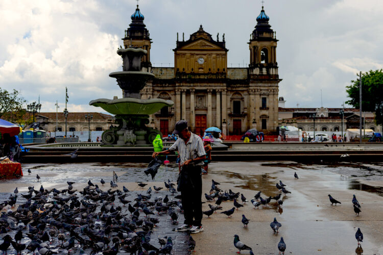 Un hombre alimenta palomas este lunes en la Plaza de la Constitución, en Ciudad de Guatemala (Guatemala).EFE/ David Toro