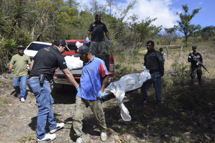 Empleados de medicina forense cargan uno los cuerpos de tres jóvenes asesinados este 20 de enero de 2025, en una zona montañosa de la aldea de Mateo al sur de Tegucigalpa (Honduras). EFE/ STR