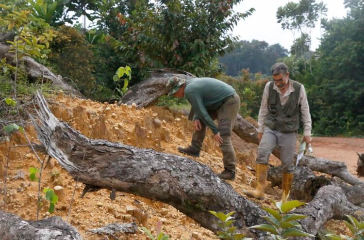 Trabajos de excavación arqueológica en el yacimiento de Campo 11 en la región de Río Campo (Guinea Ecuatorial). Fotografía facilitada por Antonio Rosas / MNCN-CSIC. EFE