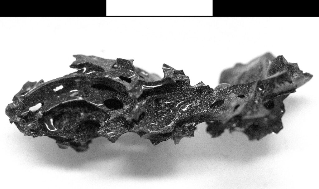 04fa2589effbda21749e1b269210edbf3fec754dw-1024x585 Hallan vidrio orgánico en el cráneo de una víctima de la erupción del Vesubio en año 79