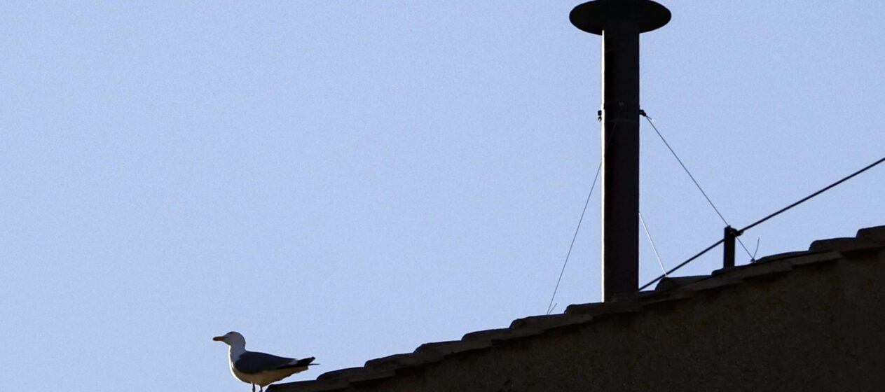Pájaros vuelan sobre la chimenea instalada en el tejado de la Capilla Sixtina, en el primer día del cónclave para elegir un nuevo papa, en el Vaticano, 07 de mayo de 2025. (Papa) EFE/EPA/FABIO FRUSTACI
```