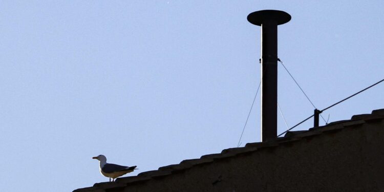Pájaros vuelan sobre la chimenea instalada en el tejado de la Capilla Sixtina, en el primer día del cónclave para elegir un nuevo papa, en el Vaticano, 07 de mayo de 2025. (Papa) EFE/EPA/FABIO FRUSTACI
```