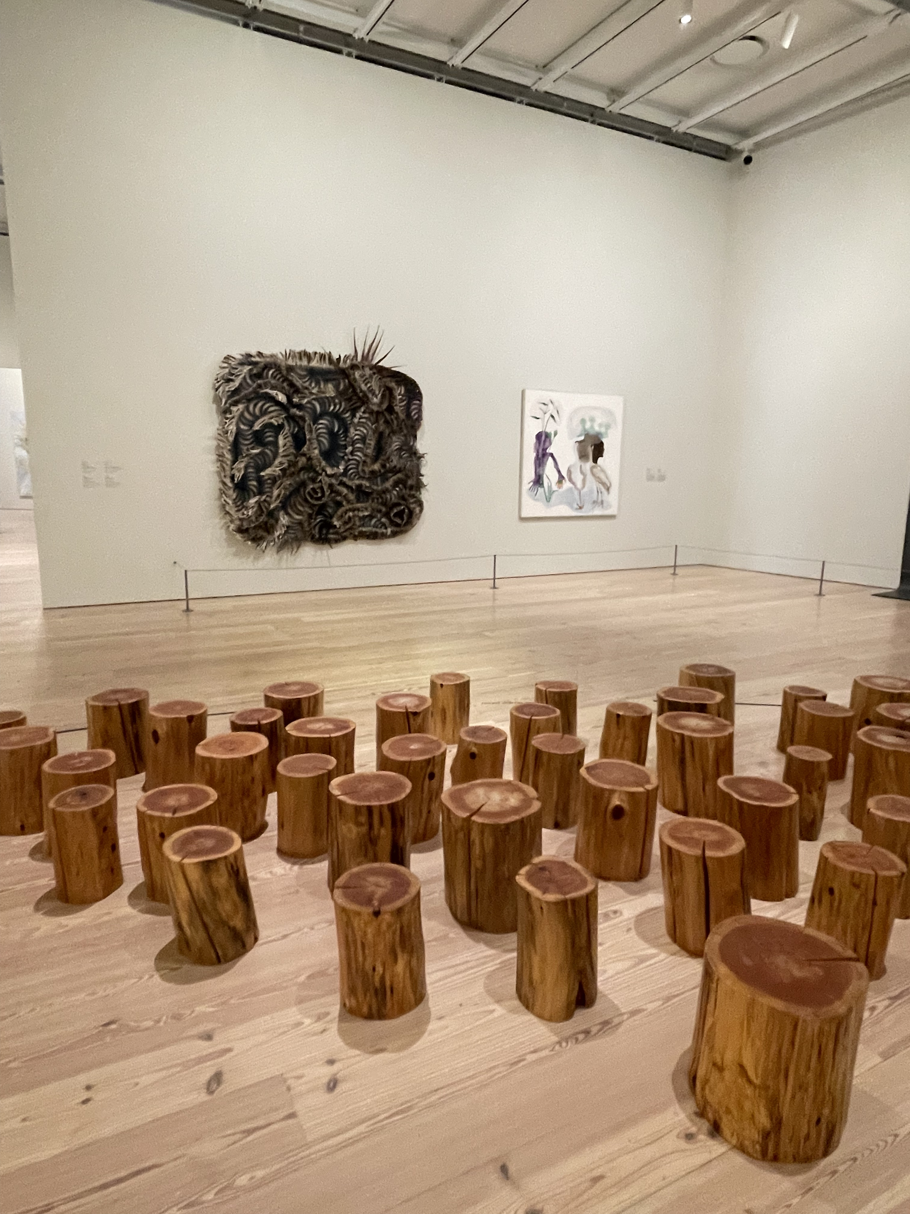 IMG_8415 Paisajes Cambiantes en el Whitney Museum: Una mirada a la obra de Marcela Guerrero