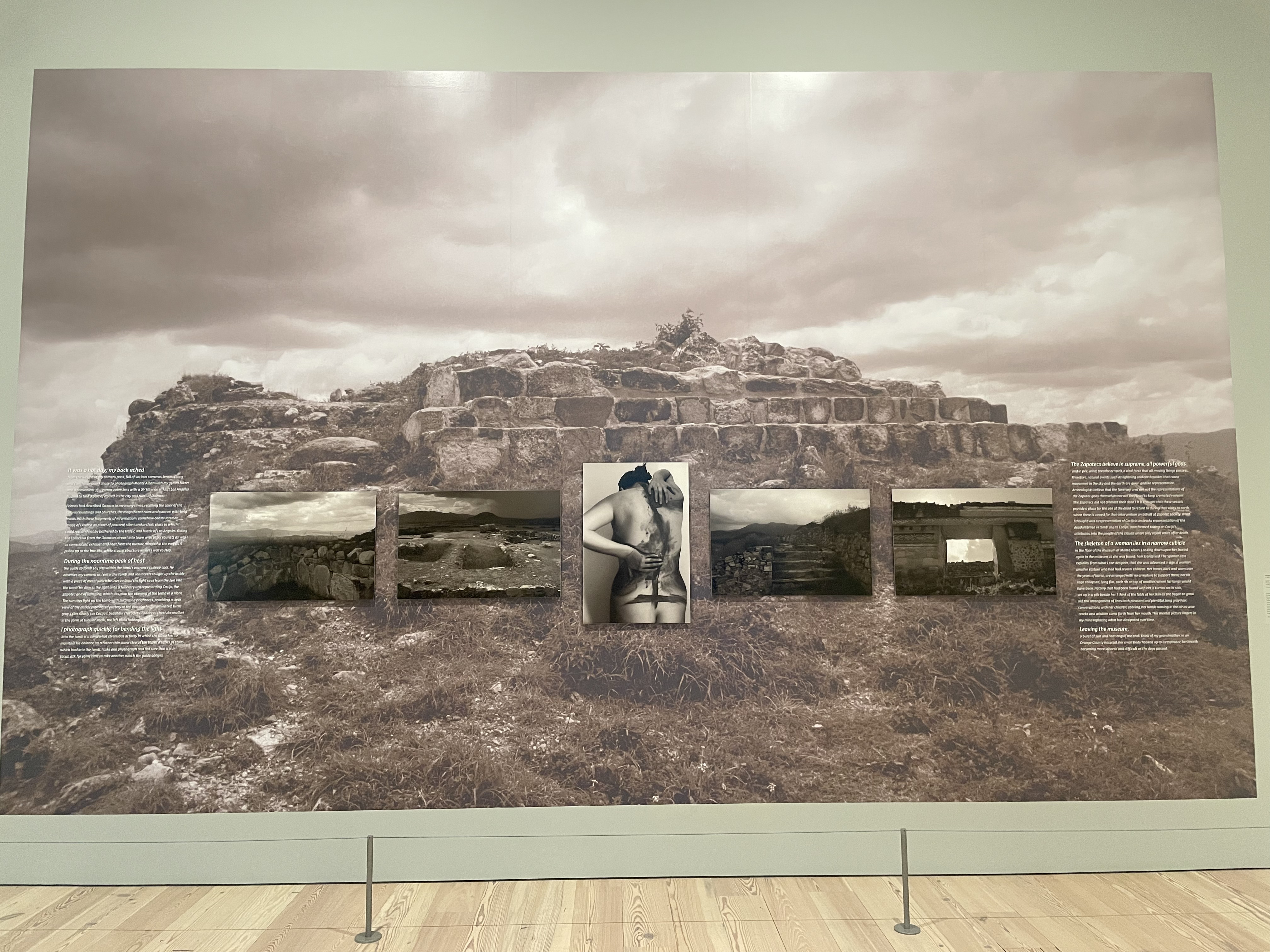 IMG_8415 Paisajes Cambiantes en el Whitney Museum: Una mirada a la obra de Marcela Guerrero